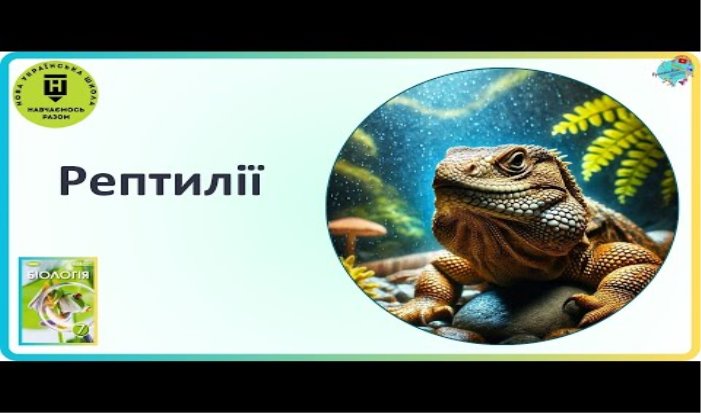 Рептилії